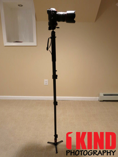 Review: Manfrotto 561BHDV-1 Fluid Video Monopod