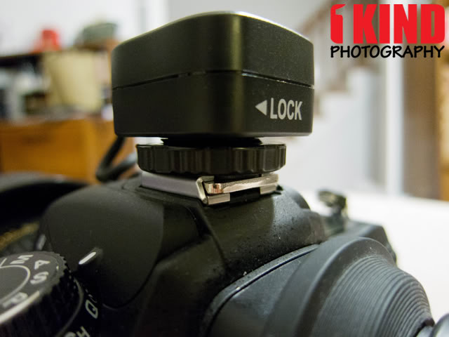Review: PIXEL Flashgun Cable for Nikon Canon Sony DSLR Camera